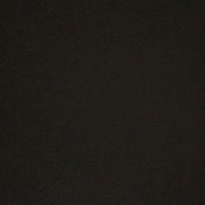 Meet your Posher, Ray